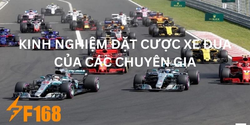 Kinh Nghiệm Đặt Cược Xe Đua - Tốc Độ Đem Về Thưởng Lớn 6 Kinh nghiệm đặt cược xe đua dễ thắng nhất cho người chơi