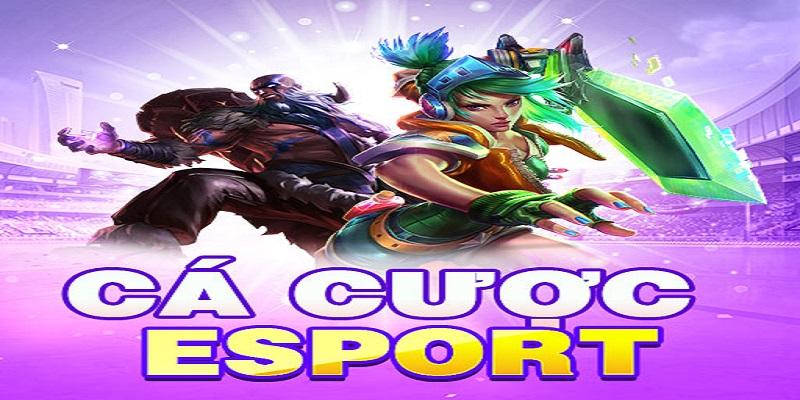 Hướng Dẫn Cá Cược Esports Tại F168 Cho Newbie 2025 7 Một vài lưu ý đặc biệt cho khách hàng